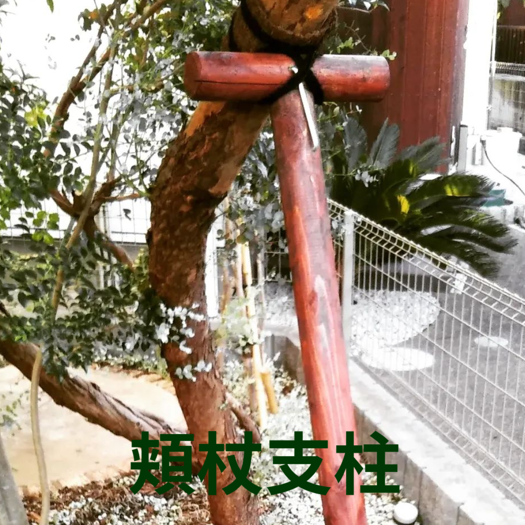 藤沢市の庭で行った植木の支柱