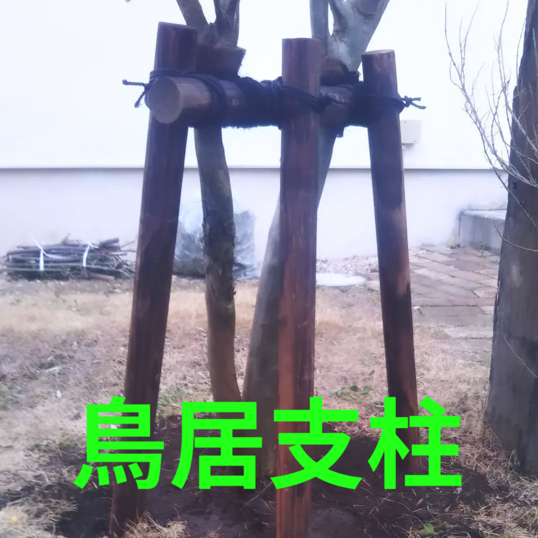 鎌倉市の庭で行った植木の支柱