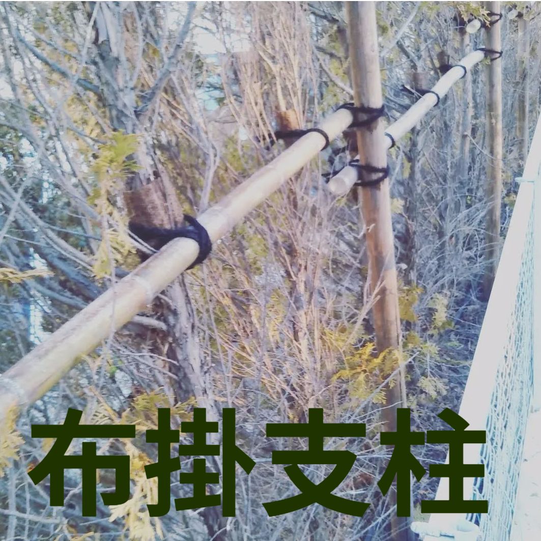 藤沢市の庭で行った植木の支柱
