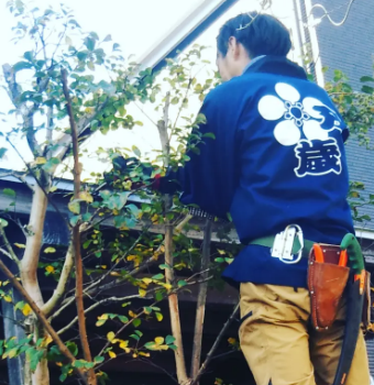 湘南の庭で行った剪定作業