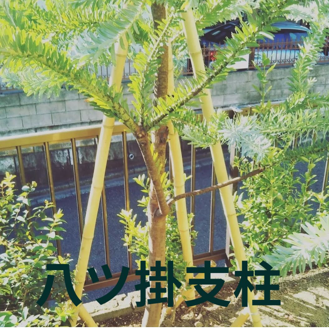 鎌倉市の庭で行った植木の支柱